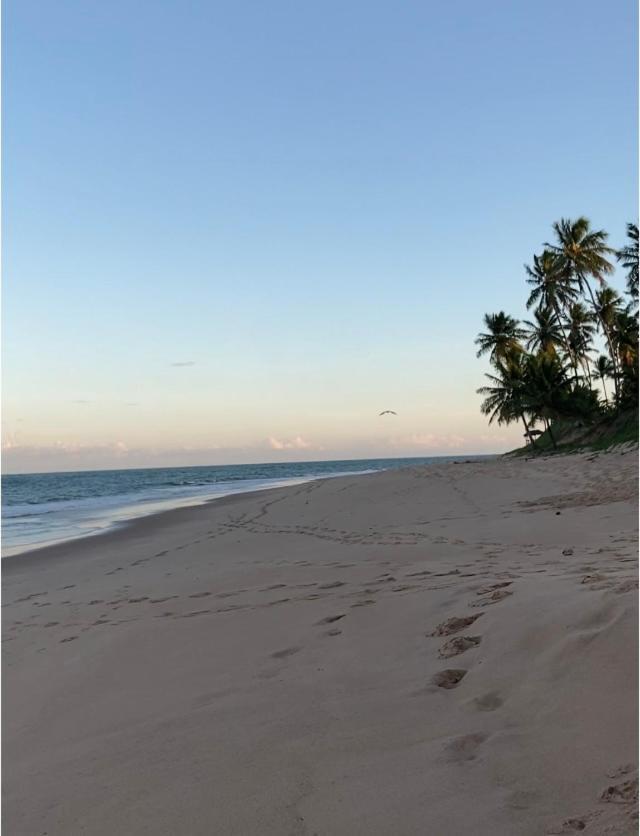 Praia Do Forte- Iberostar- Ap Luxuoso 3 Qts Mata de Sao Joao Bagian luar foto